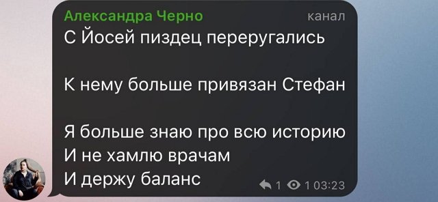 Александра Черно: Мы со Стефаном в реанимации