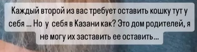 Надежда Ермакова не может оставить покалеченную кошку