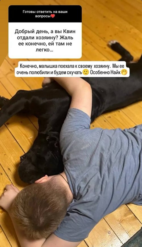 Александр Гобозов: Человеку не понравился расчёт приставов