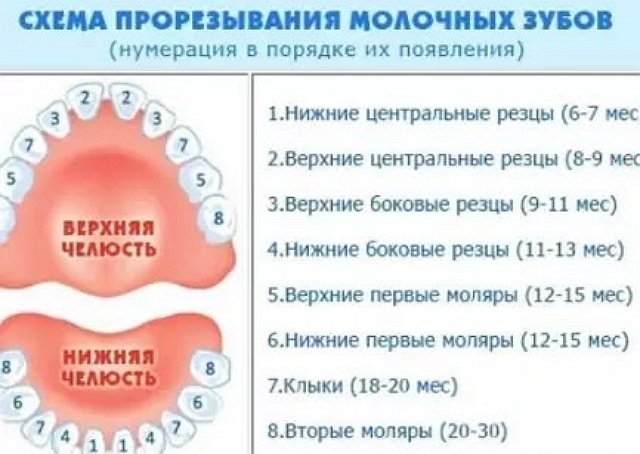 Виктория Салибекова поделилась своими переживаниями за сына
