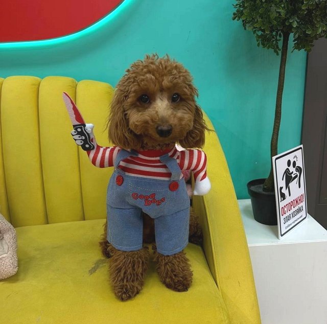 Игорь Григорьев не смог справиться со своей агрессией