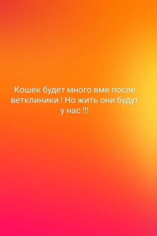 Наталья Кордюкова: Она вся наигранная и лживая!