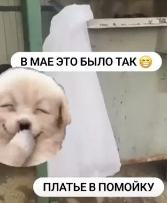 Наталью Кордюкову позвали замуж