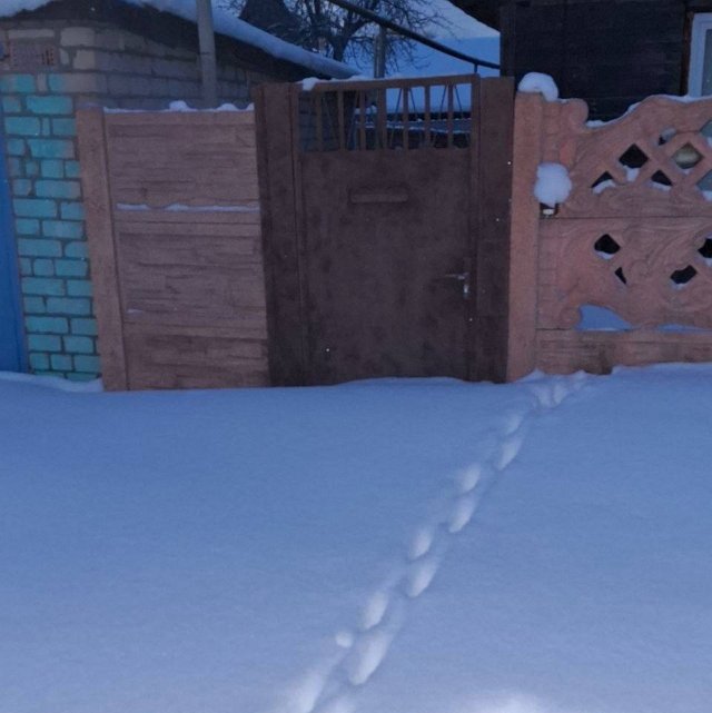 Вероника Гракович с бойфрендом уехала в Беларусь подавать на развод