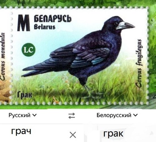 Зрительский обзор последних событий (28.01.2026)