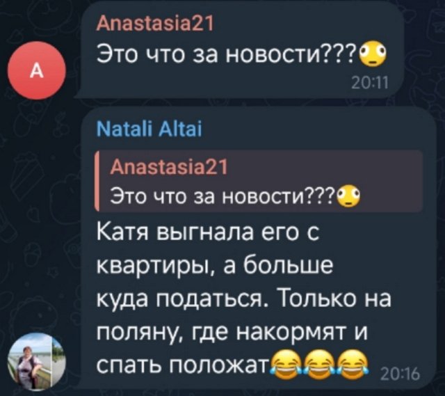 Новости на 15.04.2026 от Кота Баюна