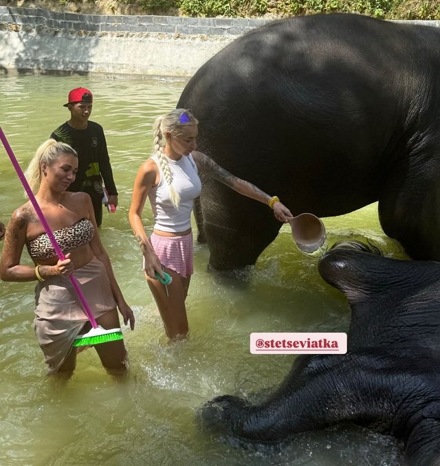 У Елены Тепловодской нет плана на ближайшее будущее