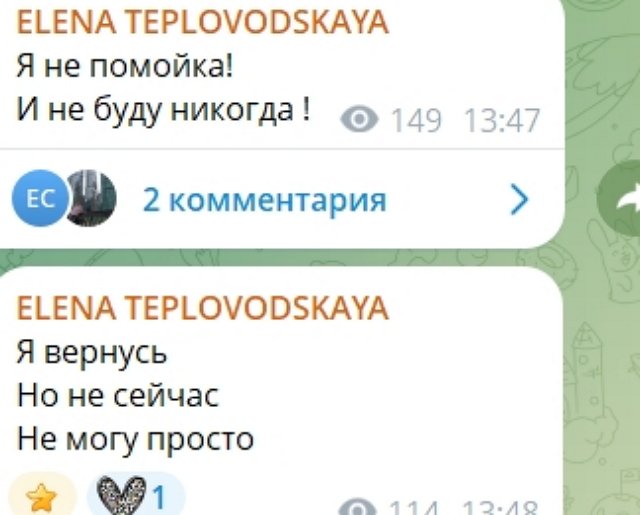 Елена Тепловодская: Я пройду всё и буду просто жить