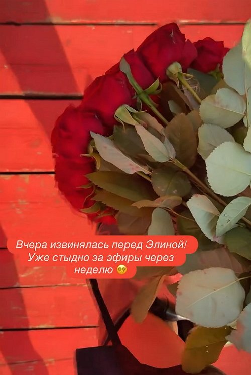Настя Ромашова решила заранее извиниться перед Рахимовой Настя Ромашова решила заранее извиниться перед Рахимовой