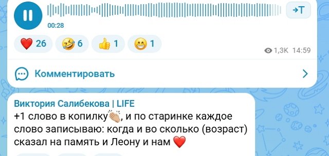 Виктория Салибекова считает слова, которые говорит её сын Виктория Салибекова считает слова, которые говорит её сын