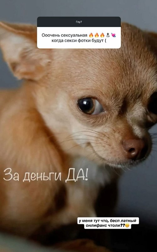Алиана Устиненко: Не легко взять и разом всё поменять