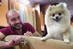 Новости на 31.01.2016 от Кота Баюна